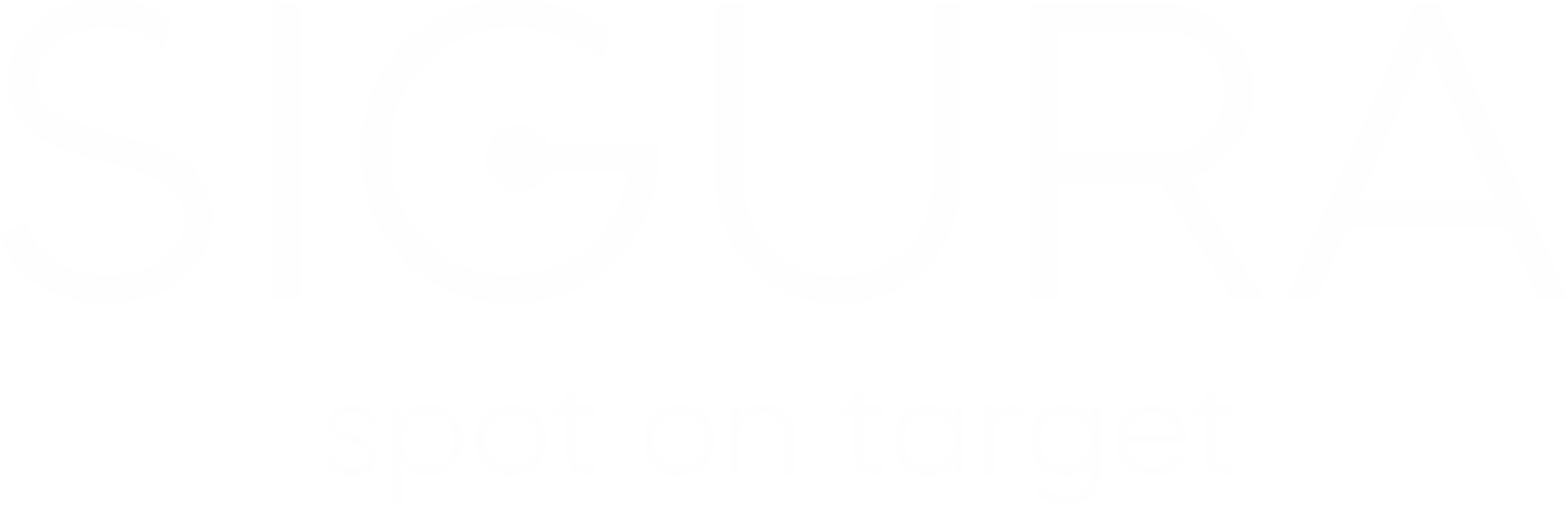 SIGURA — українська інженерна компанія